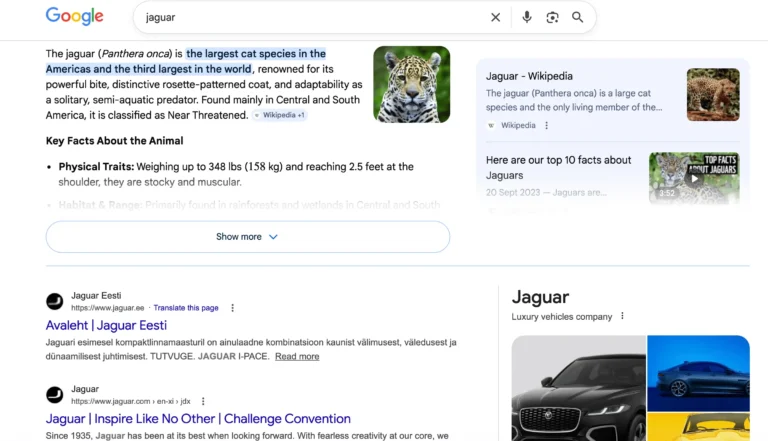 näide entity seo google otsingust
