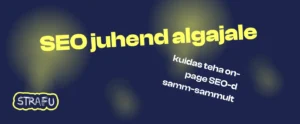 on page seo juhend algajale