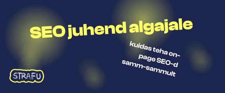 on page seo juhend algajale